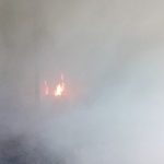 आज १७औँ अन्तर्राष्ट्रिय गिद्ध सचेतना दिवस : गिद्धबारेका गलत धारणामा सुधार हुँदै