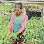 सान गुमाउँदै सनपाट