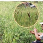 प्रजिअ पौडेल नेतृत्वको टोलीद्धारा पहिरोबाट प्रभावित तलगाउँ अनुमगन