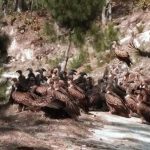 कैलालीको लम्कीचुहामा जुत्ताचप्पल गोदाममा आगलागी : ७० लाख रुपैयाँभन्दा धेरैको क्षति भएको अनुमान